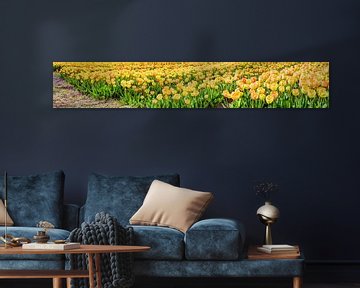Bollenveld Panorame Bollenstreek Nederland 6:1 van Hendrik-Jan Kornelis