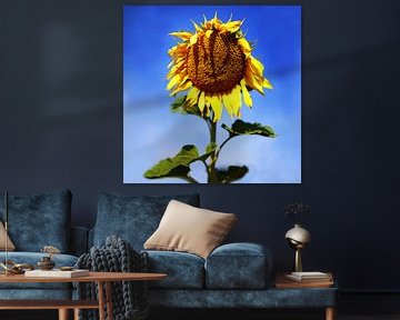 The Smiling Sunflower  van Sandra Akkerman
