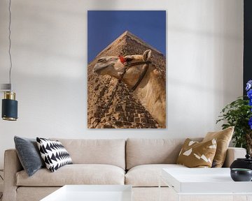Kamel mit Pyramide