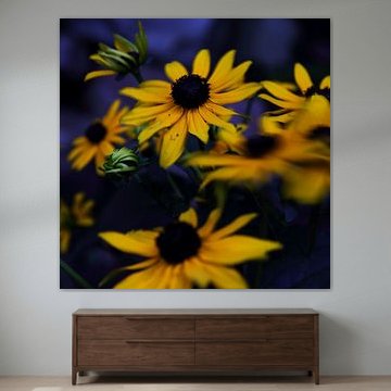 Yellow Flower Boogie 