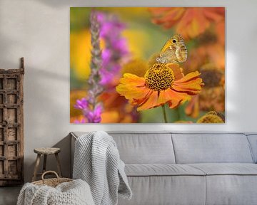 Kleurrijke bloemen met een vlinder van Katho Menden