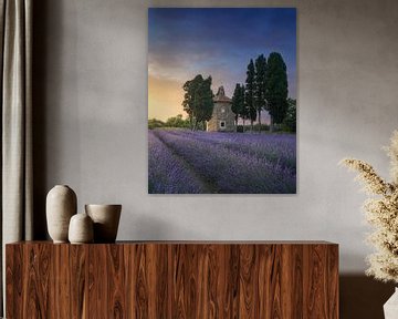 Lavendel, kerkje en cipressen, Bolgheri van Stefano Orazzini