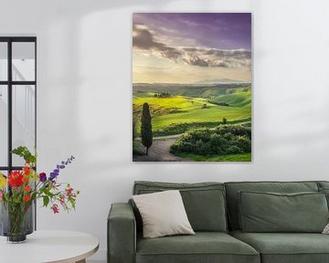 Landschap in Volterra. Toscane, Italië van Stefano Orazzini