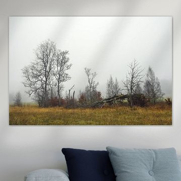 Groep bomen met dood hout in het natuurreservaat Irndorfer Hardt in het natuurpark Opper-Donau van BlattArt - Christine Horn