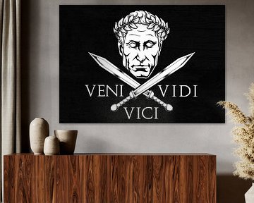 Veni Vidi Vici van Pixelbull Design