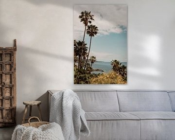 Laguna Beach Californië zeezicht van Amber den Oudsten