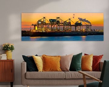 Port of Rotterdam Panorama; Mega bulk ship Berge Stahl by Anton de Zeeuw