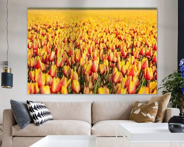 Tauchen Sie ein in die Blütezeit: Details zur Tulpe