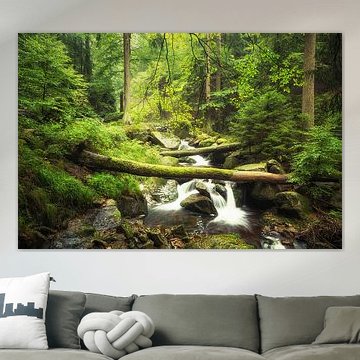 Grüne Oase im Ilsetal von Oliver Henze