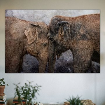 nighty night, Darling! by Joachim G. Pinkawa