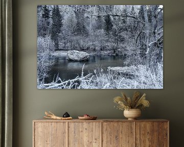 De Donau bij Fridingen in de winter met rijp - Natuurpark Opper-Donau van BlattArt - Christine Horn