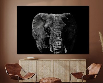 Majestic Elephant in Monochrome Black and White