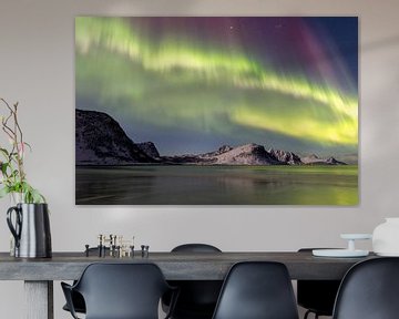 Noorderlicht op de lofoten van Danielle Kramer