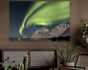 Noorderlicht op de lofoten van Danielle Kramer