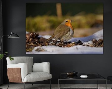 Roodborst in de sneeuw van Stobbe; natuurfotografie
