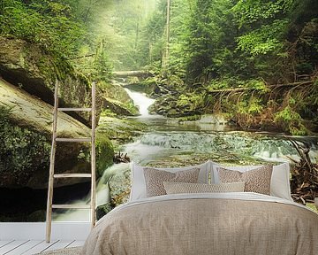 Ilse Falls in the Ilse Valley by Oliver Henze