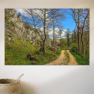 Hiking trail along the Danube near Fridingen below the Stiegelesfels - Upper Danube Nature Park by BlattArt - Christine Horn