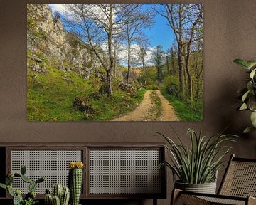 Wandelpad langs de Donau bij Fridingen onder de Stiegelesfels - Natuurpark Opper-Donau van BlattArt - Christine Horn
