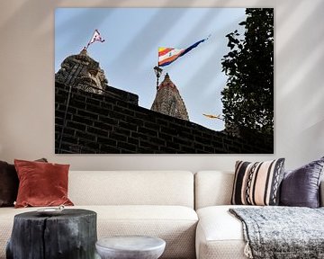 Een duizend jaar oud Hindoe heiligdom van Frank Photos