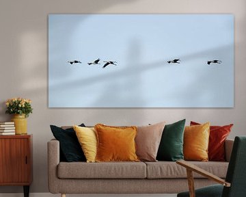 Kraanvogels vliegen in de lucht tijdens de herfstmigratie