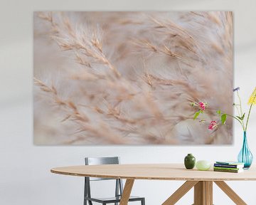 Grashalmen in de wind van Nadia Feys