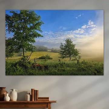 Paysage dans la réserve naturelle Stiegelesfels près de Fridingen - Parc naturel du Haut-Danube sur BlattArt - Christine Horn