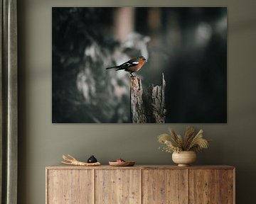 un rouge-gorge sur un tronc d'arbre