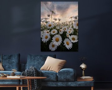 Fleurig Margrieten Boeket
