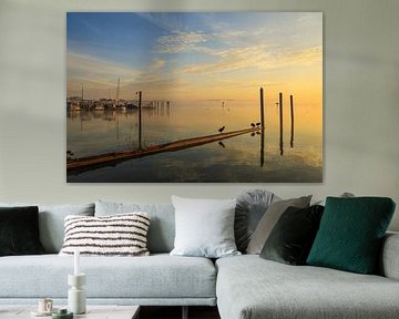 L'Untersee près de Moos - Lever de soleil - Lac de Constance sur BlattArt - Christine Horn