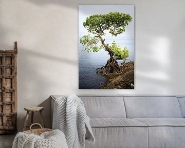 Ein Baum, der resilient gegen das Wasser in Gokarna ist von Frank Photos