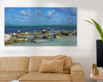 Bonaire, Sorobon sur Angela Seubring