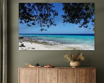 Bonaire, Donkey Beach