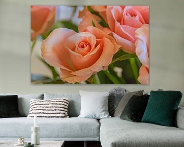 Rozenliefde van Photoart-Naegele