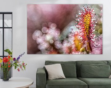 abstract zonnedauw van Jan Linskens