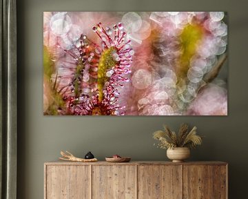 abstract zonnedauw van Jan Linskens