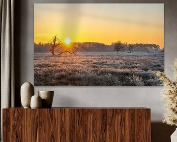 Zonsopkomst in de winter Drents Friese Wold na een koude nacht van Robin Verhoef