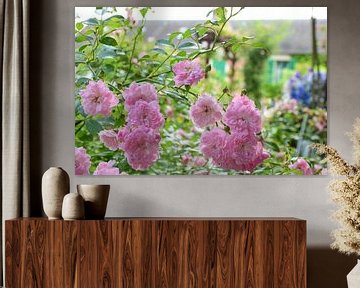 Monet's rozen van Ingrid de Vos - Boom