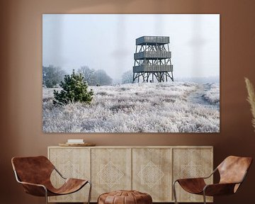 uitkijktoren Aekingerzand in het Drents Friese Wold in Drenthe bij Appelscha bij de Kale Duinen van Robin Verhoef