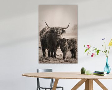 Schotse Hooglander koe met kalfje . van Rik Verslype