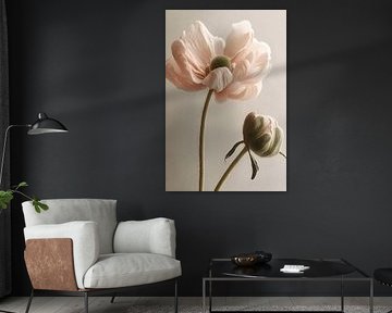 Petals in Pink and White by Studio BB