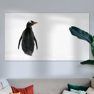 Eselspinguin im weißen Schnee in der Antarktis