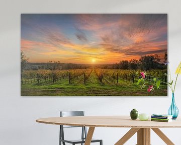 Bolgheri wijngaarden bij zonsondergang, Toscane van Stefano Orazzini