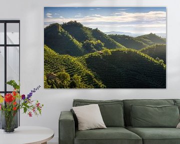 De ronde heuvels van Prosecco met de wijngaarden, Italië van Stefano Orazzini