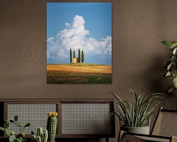 Small abandoned church with cypress trees, Tuscany by Stefano Orazzini