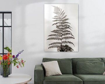 Fern in the sunlight (ZEN) by Affect Fotografie