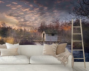 Oldemeijer, Haarplas, Hardenberg by Ton Drijfhamer