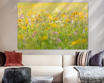 Wildflower meadow in the Ore Mountains