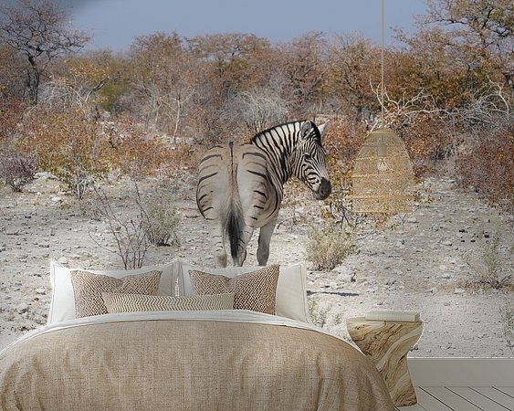 Aperçu de la chambre