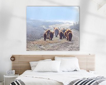 achter de kudde aan van vdzwanfotografie