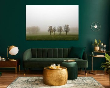 Bomen in de mist bij Hofgut Dauenberg bij Eigeltingen in Hegau van BlattArt - Christine Horn